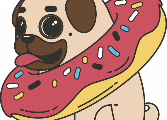 pug, donut, sweets-2970827.jpg